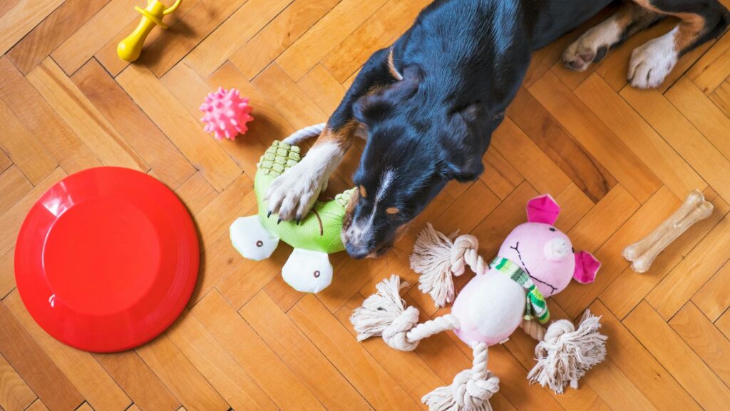 Rotate toys